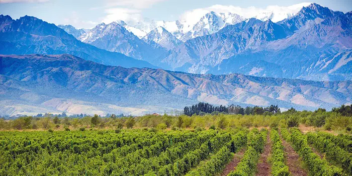 Mendoza, mejores destinos en Argentina