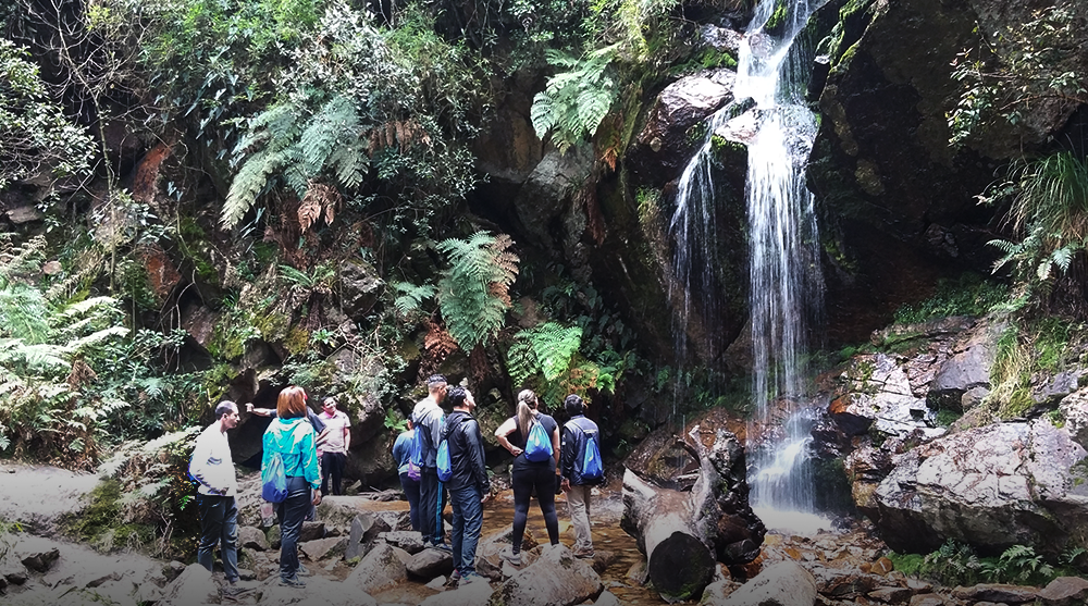 Caminatas Ecológicas