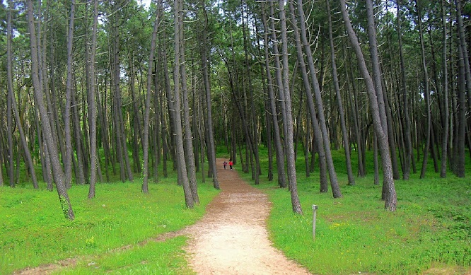 caminatas fáciles hasta recorridos más desafiantes