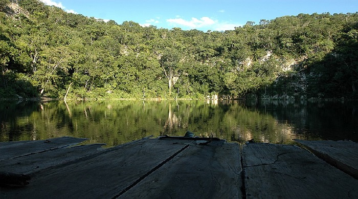 Cenote Miguel Colorado Campeche México