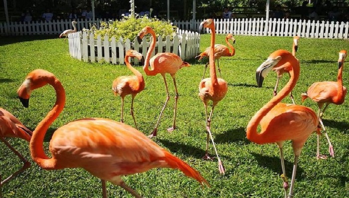 Centro de conservación y zoológico Jardines de Ardastra