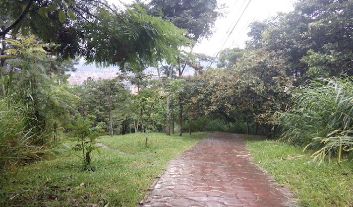 Cerro El Volador Antioquia