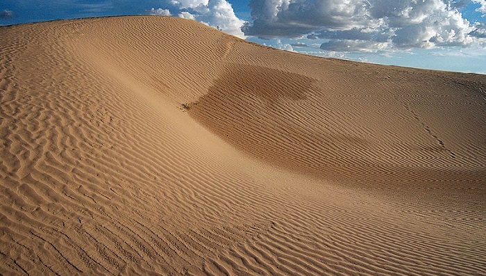 Dunas de Samalayuca Chihuahua México