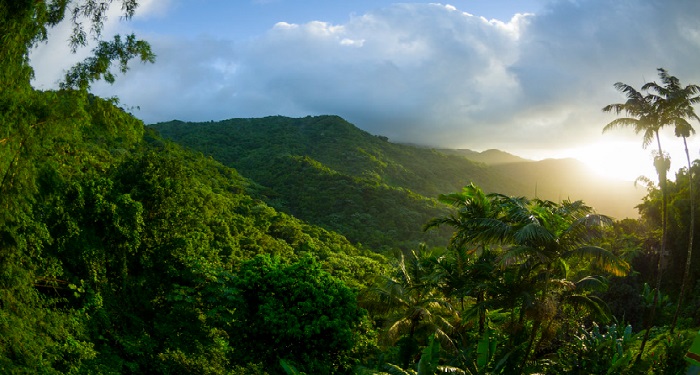 El Yunque Puerto Rico