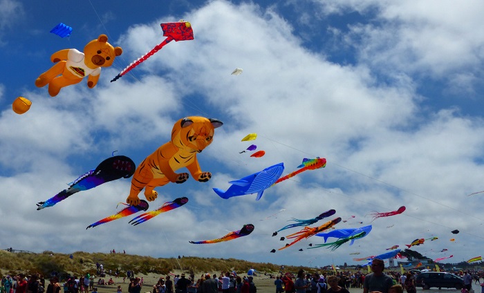 Festival del Viento y las Cometas