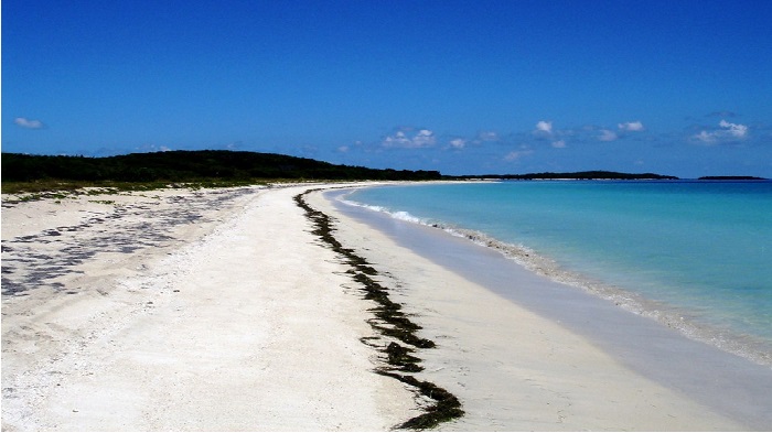 Isla de Vieques Puerto Rico