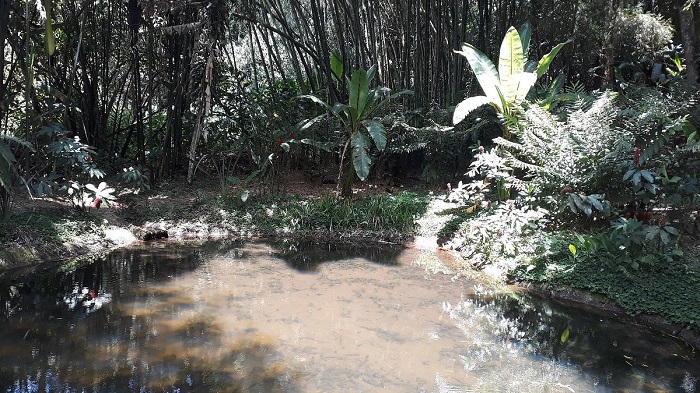 Jardín Botánico Los Balsos Jericó