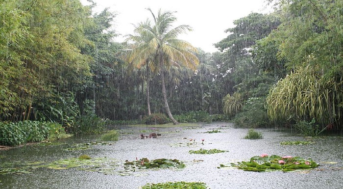 Jardín Botánico de Deshaies Guadalupe