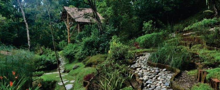 Jardín Botánico San Jorge en Ibagué