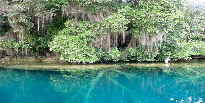 Laguna Miramar Chiapas México