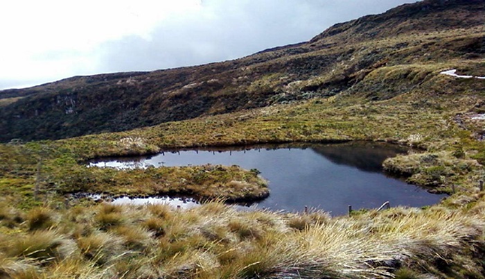 Laguna del Buey - Volcán del Puracé