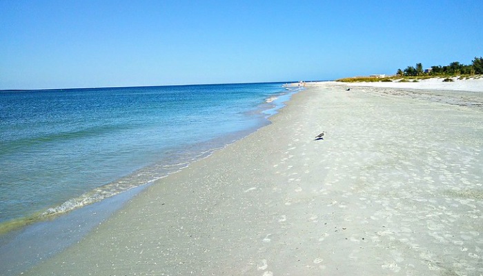 Lido Key Beach Sarasota