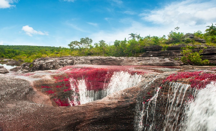 Los Ochos Caño Cristales