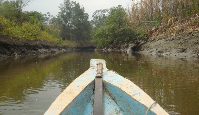 Manglares de Majagual Esmeraldas Ecuador