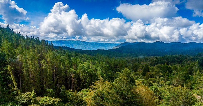 Parque Arví Antioquia