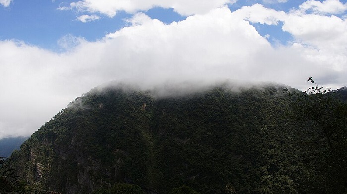 Parque Chicaque Cundinamarca