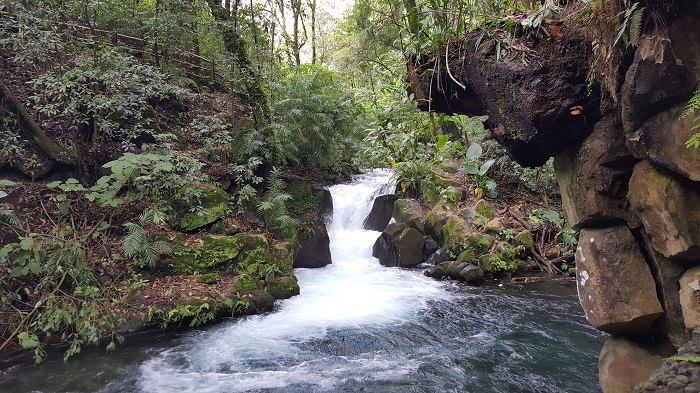 Parque Nacional Barranca del Cupatitzio Michoacán