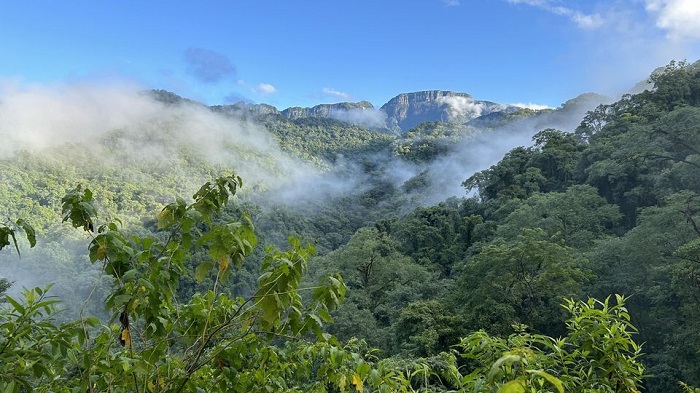 Parque Nacional Calilegua Argentina