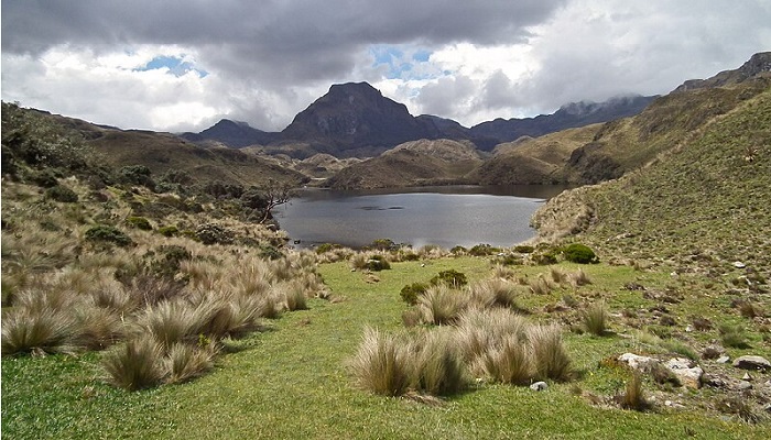 Parque Nacional El Cajas Cuenca Mexico