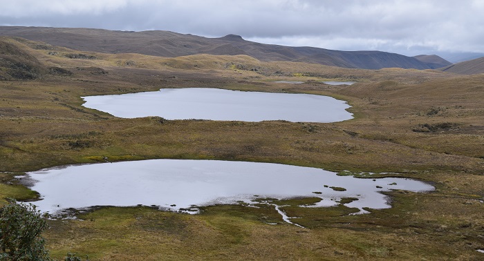 Parque Nacional Llanganates Ambato Ecuador