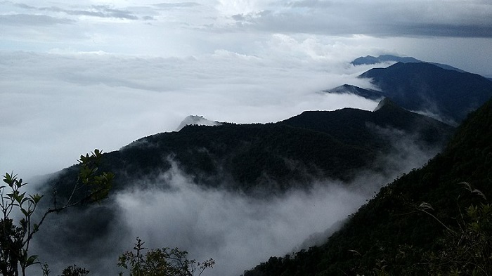 Parque Nacional Natural Munchique Nariño