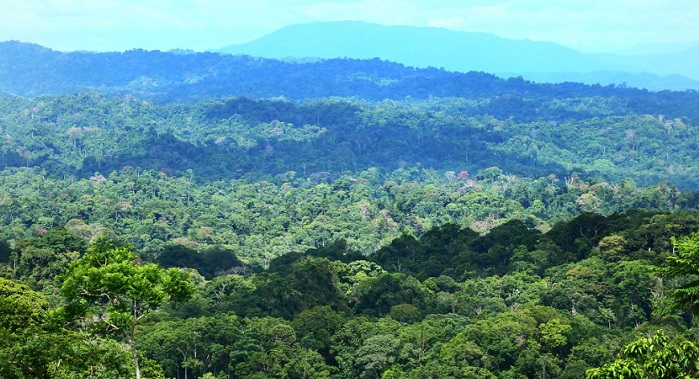 Parque Nacional Natural Paramillo Antioquia