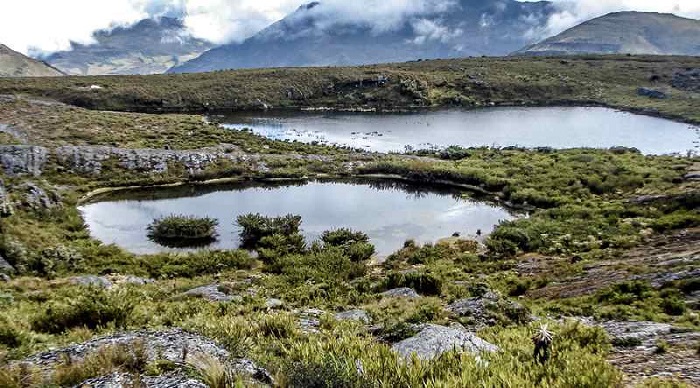 Parque Nacional Natural Pisba Boyacá