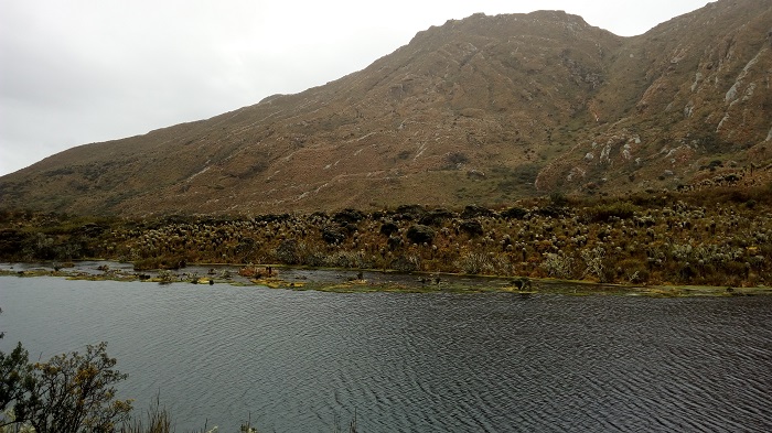 Parque Nacional Natural Sumapaz Cundinamarca