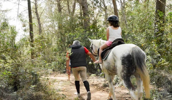 Paseos a Caballo