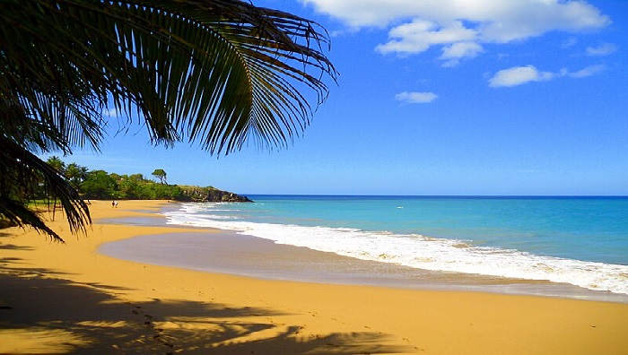 Plage de Grande-Anse Guadalupe