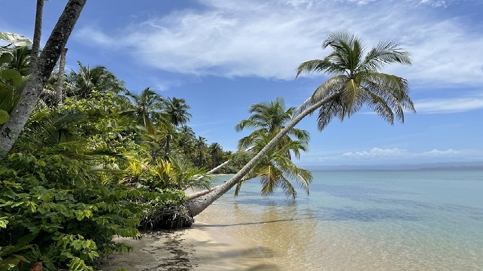 Playa Bocas del Drago Panamá