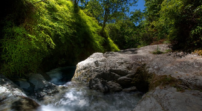 Reserva Científica Ebano Verde Republica Dominicana