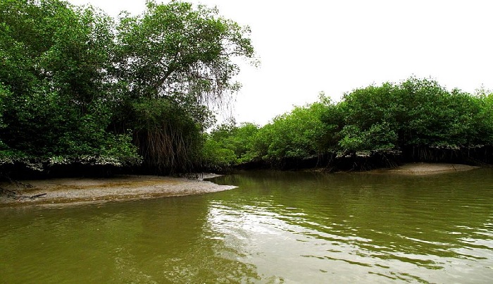 Reserva Ecológica Manglares Churute Montañita Ecuador