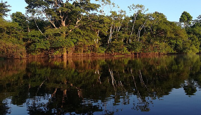 Reserva Nacional de Pacaya – Samiria