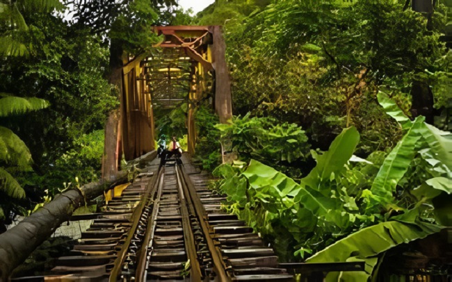 Reserva Natural San Cipriano Buenaventura