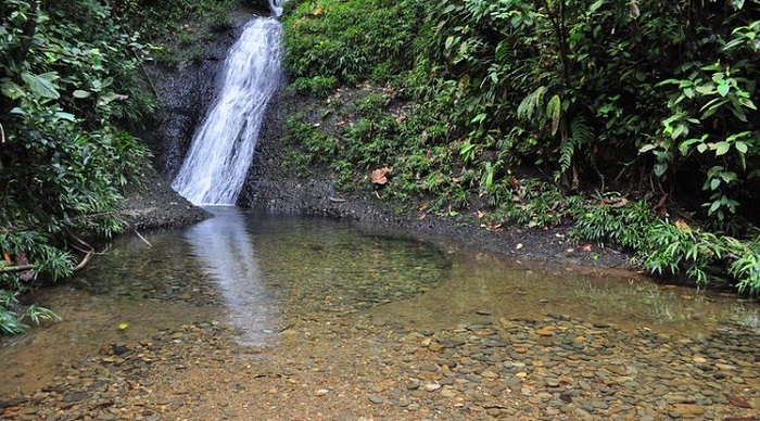 Reserva Natural San Cipriano Valle del Cauca