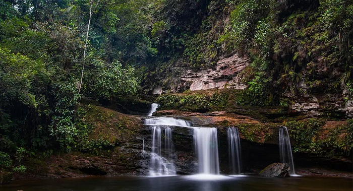 Reserva Natural Tanimboca Amazonas