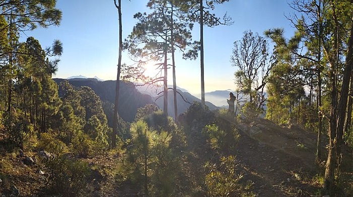 Reserva de la Biosfera Sierra de Manantlán Jalisco México