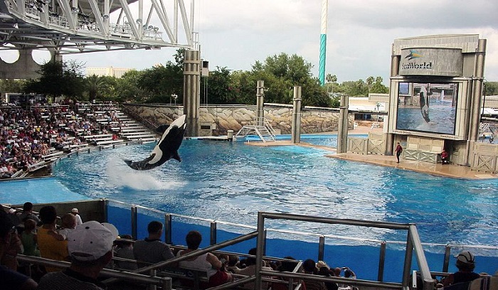 SeaWorld Orlando