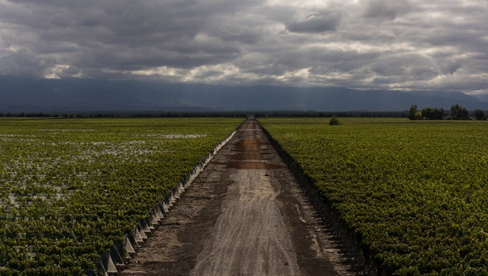 Valle de Uco Mendoza Aegentina