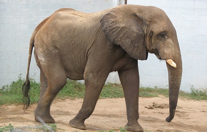 Zoológico de Barranquilla