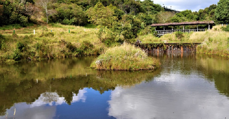 Centro Ambiental Chimayoy