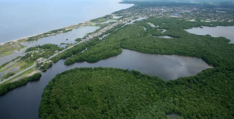 Ciénaga Grande de Santa Marta