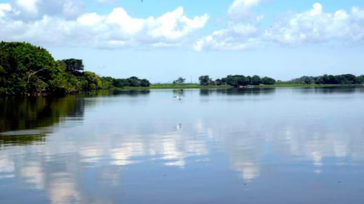 Ciénaga San Silvestre -Barrancabermeja