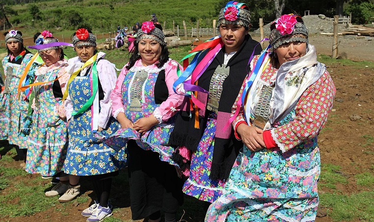 Cultura mapuche