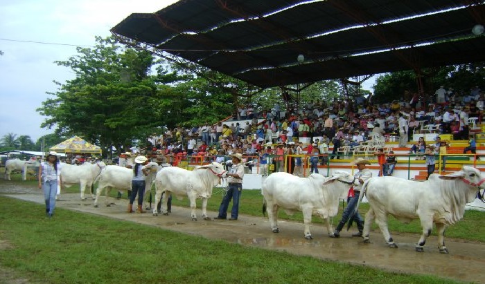 Principales festividades