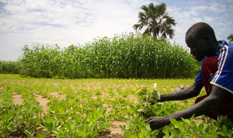 fincas agropecuarias