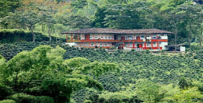 Visita a Haciendas Cafeteras en Tuluá