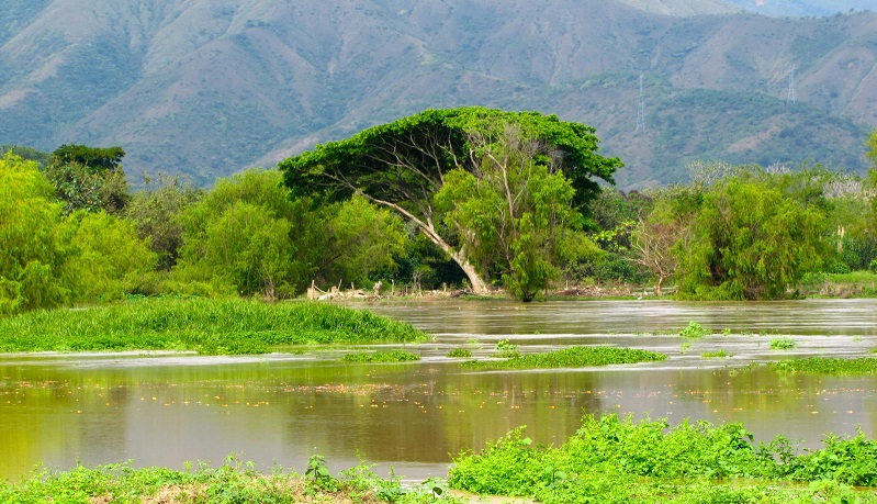 Laguna del Sonso en Buga