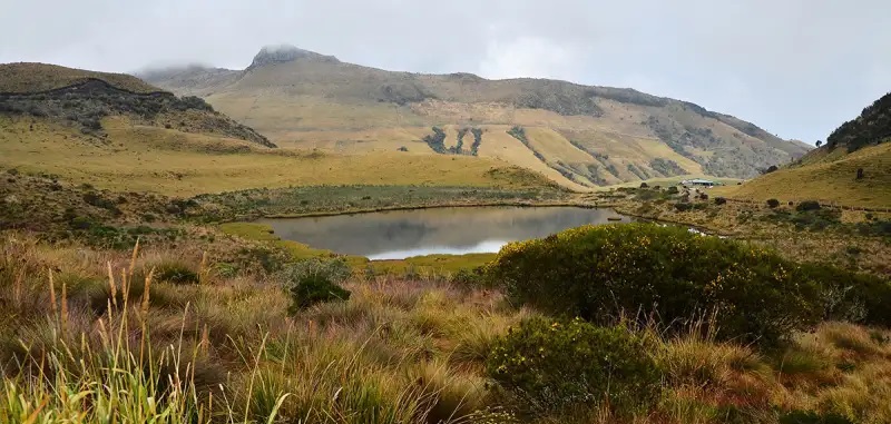 Parque Nacional los Nevados en Risaralda